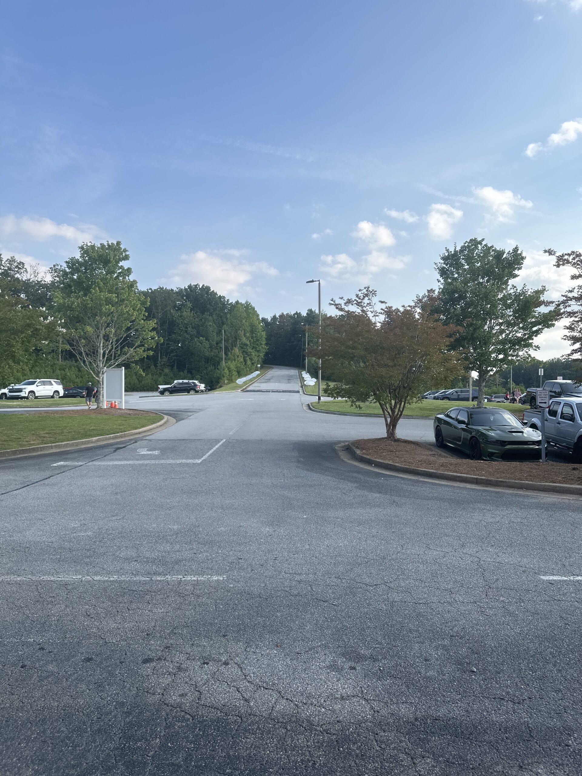 Photo of the main entrance with a road winding down from a hill layered with trees as seen from the school.